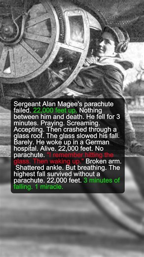 He Survived Falling 22,000 Feet Without a Parachute | Military History Talks