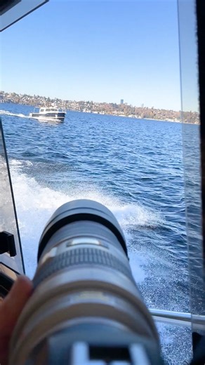 3.7K views · 33 reactions | The R-27 is a downright performer, reaching more than 40MPH at WOT. With that level of speed, you can fit a week's worth of cruising into a weekend. | Ranger Tugs | Facebook