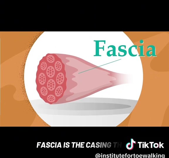 👣 Fasciotomy: A Solution for Severe Toe Walking! 🏥 In this video, we explain the fasciotomy procedure, a minimally invasive surgery that can help children with toe walking problems. Stay tuned to learn more about how this treatment can make a difference! #Fasciotomy #ToeWalking #FootSurgery #Orthopedics #Pomarino #care #gaitanomalies #kidswalk #OrthopedicCare #myofasciotomy #pyramidinsoles #InstituteforToeWalking #Zehenspitzengang #PomarinoInstitute #HealthyFeet #ChildHealth