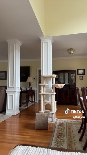 Strange Behavior at the Krusty Krab