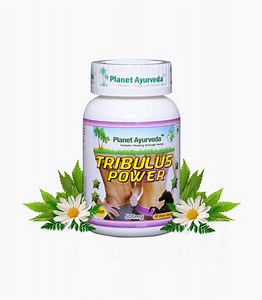TRIBULUS POWER