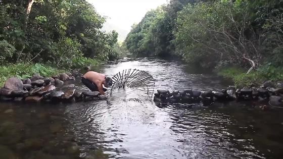 Primitive tech big fish trap unveiled
