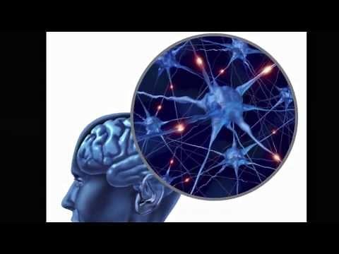 Why does modularity evolve? The evolutionary origins of modularity