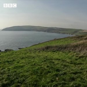 2.3K views · 38 reactions | Would you fancy living on Looe Island with lots of beautiful wildlife? If you don't mind living in a tent, then there could be a volunteering opportunity for you with Cornwall Wildlife Trust. Listen to our Breakfast report here: https://www.bbc.co.uk/programmes/p0bz96s5 | BBC Cornwall | Facebook