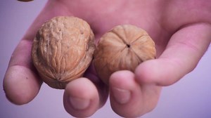 Just your typical queer, Asian American, comedic sex ed documentary about the universal search for love, connection, and family acceptance. 'A Sexplanation' 🍑📚🍎 premieres Tuesday, May 3rd (8P ET) on Fuse and Fuse . on.fuse.tv/fuseplussignup | Fuse