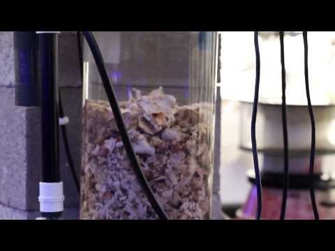 Calcium Reactors for the Reef Aquarium