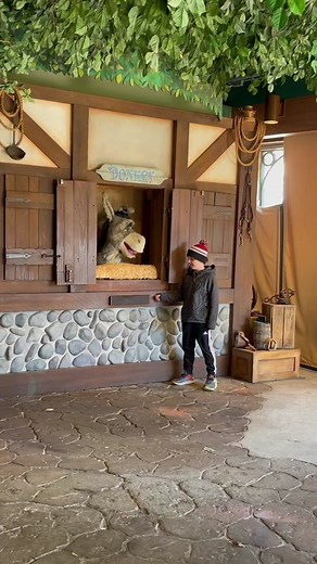 Donkey meets Connor #lostfiles #Donkey #Shrek #funny #tiktok #fyp #universalorlando