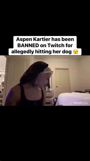 Aspen Kartier has been BANNED on Twitch for allegedly hitting her dog 🫣 | Rowdy Hip Hop