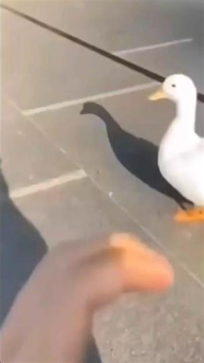 Day 65 - How to make worksheets Online #worksheets #online