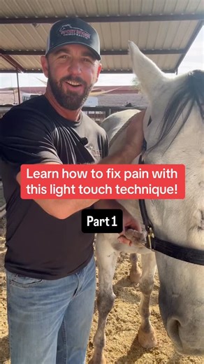 1.4K views · 675 reactions | Does your horse deal with soft tissue...