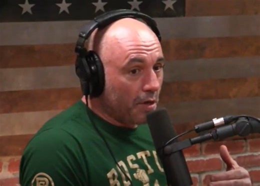 Joe Rogan said one Fear Factor stunt made him so uncomfortable he told contestants to avoid it