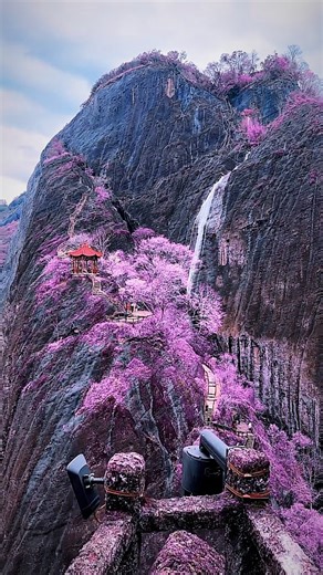 A.Shankar M.S / M.B.A (SOFTWARE ENGG AND FINANCE) on Instagram