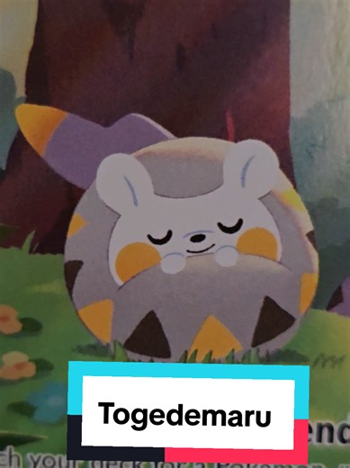 This was a Togedemaru Pack ❤️ #pokemon #pokemontcg #pokemoncards #togedamaru