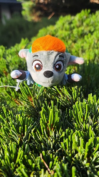 PAW Patrol toy collection #421: Big Truck Pups mini #Plush Rocky. He's soooo #cute ! #toy