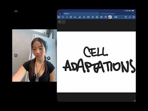 CELL ADAPTATIONS | Cells | IB Biology HL