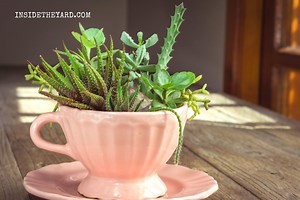 How To Make A Plant Saucer In Simple 2 Ways - Inside The Yard