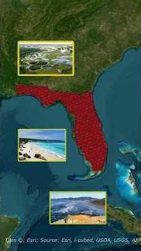 Why Is Northern Florida So Underpopulated? 🌴🇺🇸