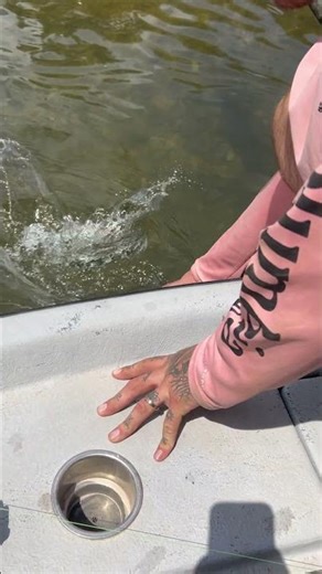 This gizzard shad jumped in the boat with us! 🌞