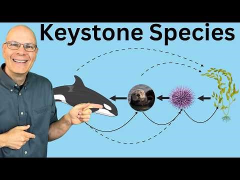 Keystone Species and Trophic Cascades Explained for AP Bio