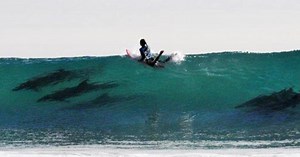 Watch Dolphin Pod Crash Surfing Competition