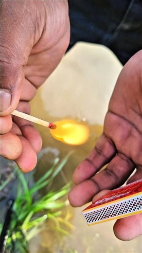 Survival Skills: Waterproof Match Hack for Rain 🔥#survival #bushcraft #camping #firehack #outdoors