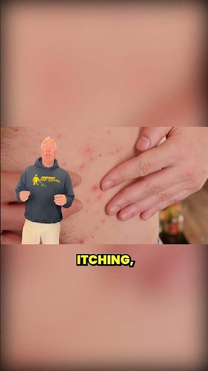 Where Do Bed Bugs Come From?