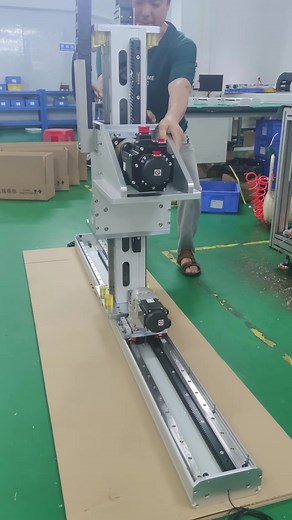 XZ Multi-Axis Rack and Pinion Linear Robot System
