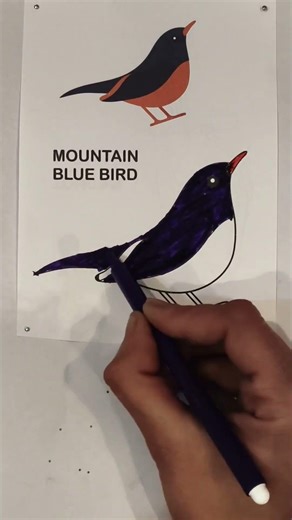 Simple Bird Drawing & Coloring 🐦✍️🎨 #shorts