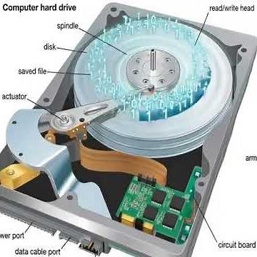 How to set up XWorm Rat 6.4 Port forwarding on Windows (undetected by windows defender)#coding