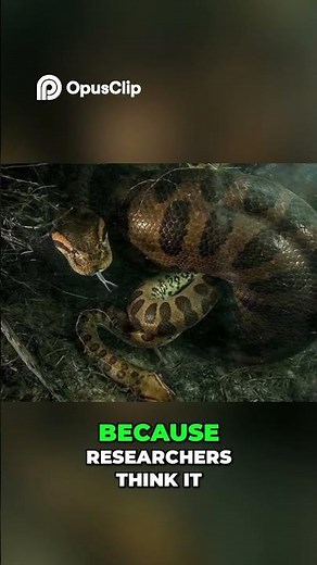 Anaconda Mating - Female Eats Male for Survival!