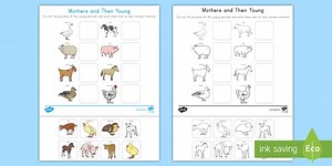 Mothers and Their Young Animal Matching Cut and Paste Worksheet for K-2nd Grade