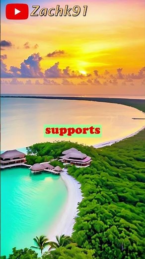 🌿 Explore the Biodiverse Wonders of Sian Ka'an 🌴🌊 Pt. 2