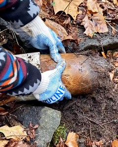 1.4M views · 2K reactions | There's something oddly fascinating about this 藍 | UNILAD | Facebook