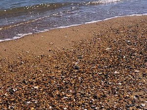 Outer Banks Blue Vacation Rentals on Reels