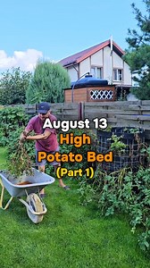 1M views · 9.5K reactions | High potato bed (part 1). This video will consist of several parts, as it turned out to be too long, and most of you categorically refuse to watch my long videos. In the description of the last part, I will share in detail my impressions of this method of growing potatoes. Subscribe if you haven't already and you won't miss anything. | Harvest Garden | Facebook