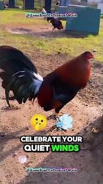 Chicken Care for Beginners: Easy Tips to Start Raising Happy Chickens!