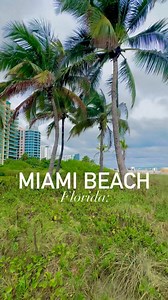 Getaway to Florida’s most popular beach city: Miami Beach! 🏖️ Miami Beach is home to beautiful white sandy beaches, iconic beachfront hotels, diverse restaurants, and so much more! Next time you’re looking for a fun-filled beach vacation, visit Miami Beach in beautiful South Florida! 😎🌴☀️ • • • • • #miamibeach #miami #southbeach #beachvacation #beachlife #vacay #southflorida #lovefl #visitmiami | Things To Do Tampa Bay
