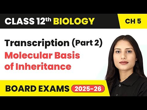Transcription (Part 2) - Molecular Basis of Inheritance | Class 12 Biology Chapter 5 | CBSE 2025-26