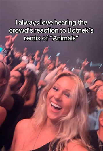 Legendary Botnek Remix of Martin Garrix's Animals