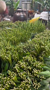  BÁNH GIÒ NÓNG HÀ NỘI Vì em biết, khách hàng thông thái đại đa số...