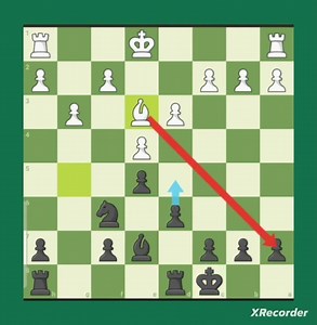 checkmate with knight # chess