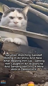 Saruman Watching Gandalf Rolling Into Isengard🤣 #lotr #lotrmemes #gandalf #memes #cats | The Memes Of Moria