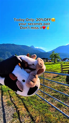 My Little Farm Experience: A Day in Farm Life