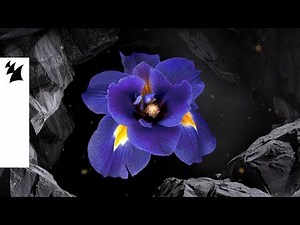 Janieck & Horizon Blue - Iris (Official Visualizer)