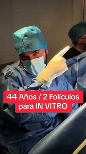 Fecundación in vitro: Proceso paso a paso
