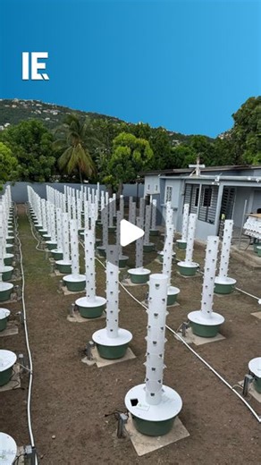 Interesting Engineering on Instagram: "Vertical farming is a 21st century way of maximizing agricultural output in a small space. It uses cutting-edge technology like aeroponic towers as as-needed watering systems. That lets people grow food for their own use and for sale in much smaller "farms." 🎥 @jamaicatowerfarms"