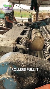 Woodworking Best Log Peeling Machine | Alex Bennett