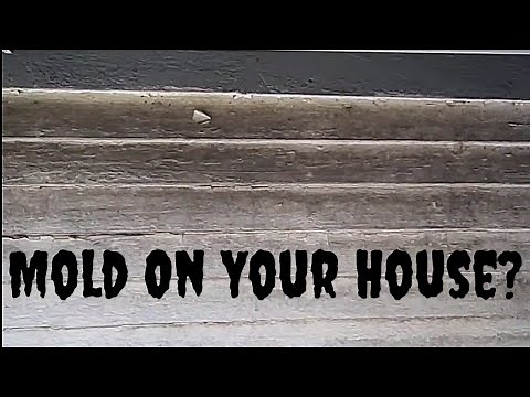 How to Remove Mold from Entire House Exterior