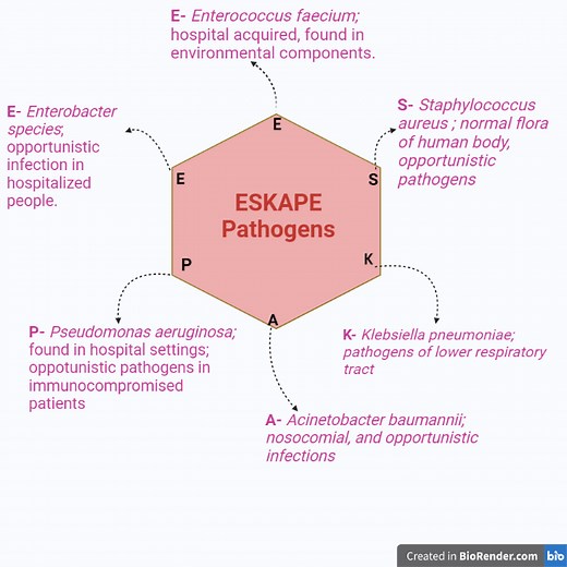 ESKAPE Pathogens • Microbe Online