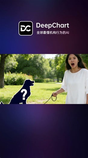 AI时代，别让看盘耽误升职加薪，AI炒股助手帮你 #aiinvestment #deepchart